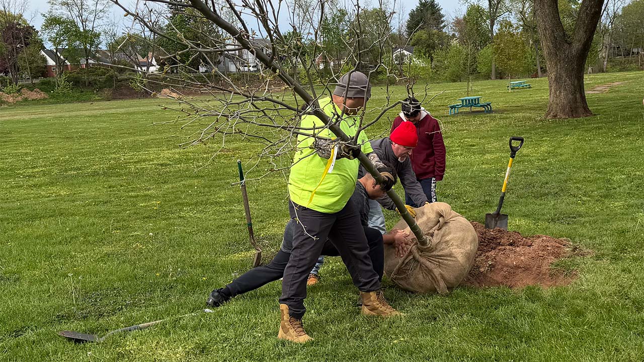Manville Celebrates Its 9th Annual Arbor Day Tree Planting