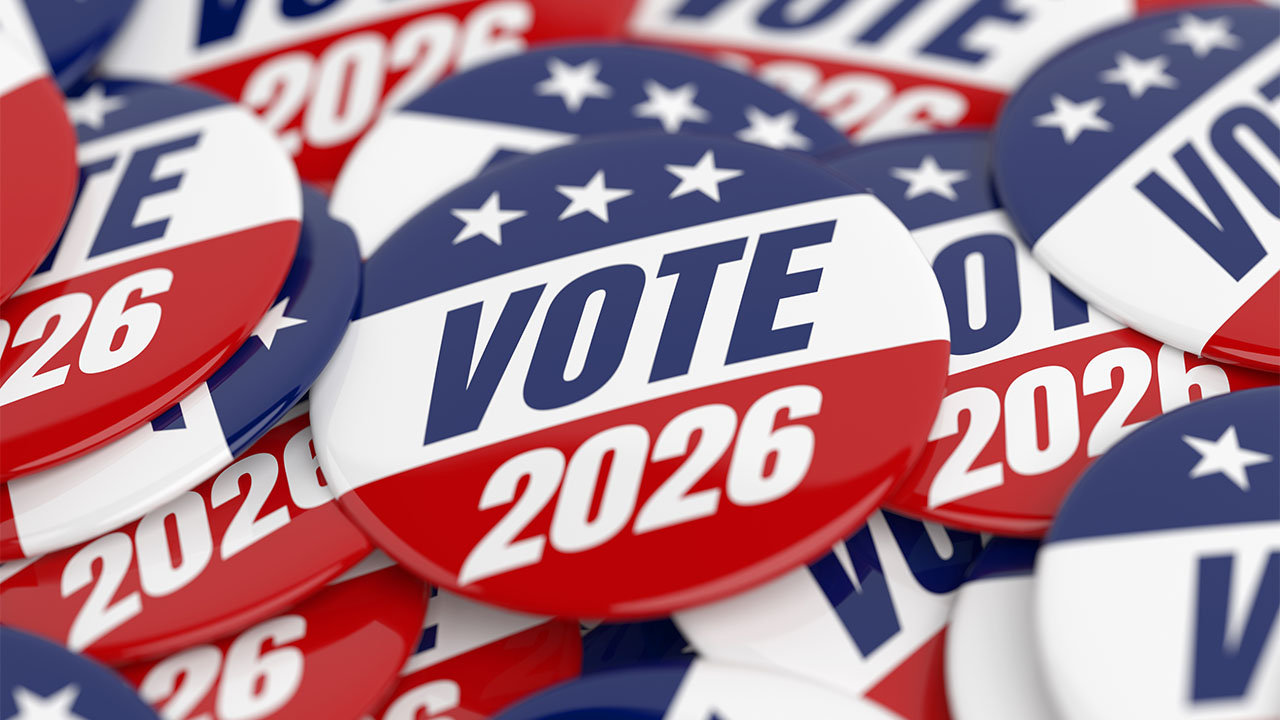 What's on the November Ballot?